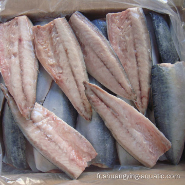 Fruits de mer à filet de maquereau congelé au maquereau du Pacifique